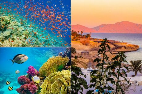 Sharm El Sheikh-Kahire Turu - Vizesiz