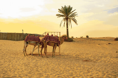 FIRSAT Büyüleyici Dubai Turu 3 Gece / 5 Gün - Pegasus Havayolları İle